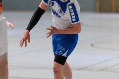 20170319_101_H2_Langenselbold