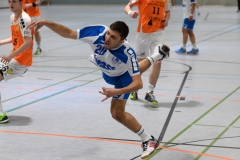 20170319_141_H2_Langenselbold