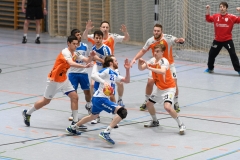 20170319_153_H2_Langenselbold