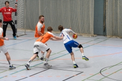 20170319_155_H2_Langenselbold