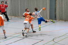 20170319_157_H2_Langenselbold