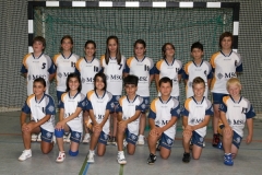 _D_HSG_2010-2011