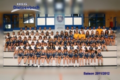 HSG_2011-2012_1