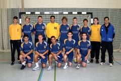 mA_HSG_2012-2013