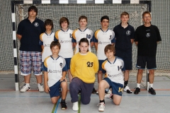 mC_HSG_2010-2011_1