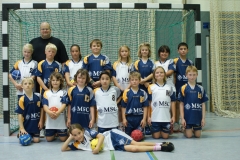 mE_HSG_2010-2011
