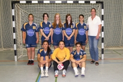 wB_HSG_2012-2013_2