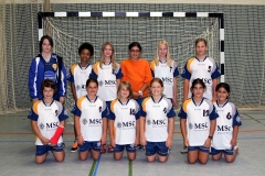 wD_HSG_2012-2013
