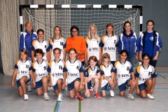 wD_HSG_2012-2013_1
